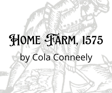 Home Farm 1575 picture