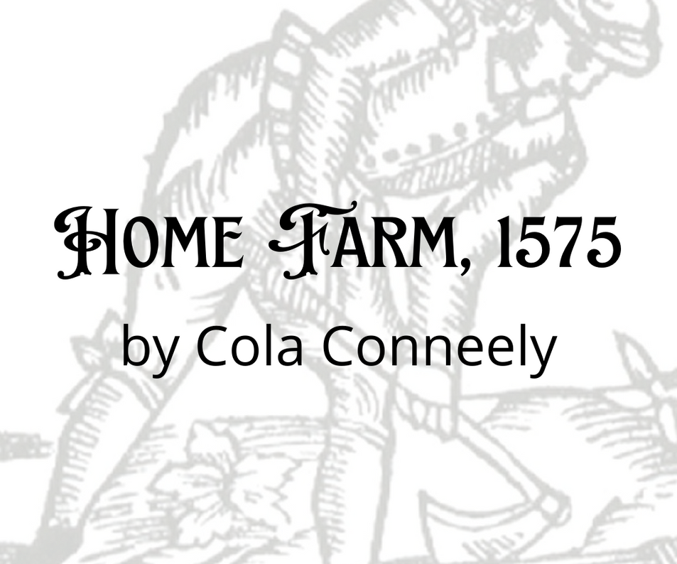 Home Farm 1575 picture